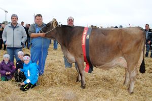Schneuter ltere_Silvrestone Silvia_Gebr. Bisig Willerzell